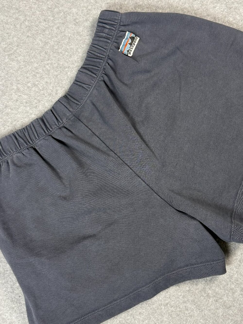 Patagonia Organic Cotton Essential Shorts Womens Small Smolder Blue